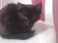 Ritinha