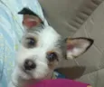 Chouji