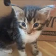 Nina