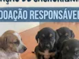 sem nome