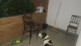 barão