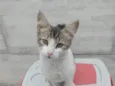João 