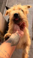 Hank, nick