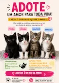 4 filhotes