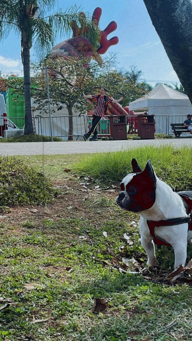 Cachorro raça SRD-ViraLata idade 4 anos nome Neymar