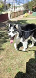 zeus