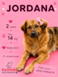 Jordana