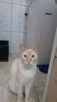 Douglas
