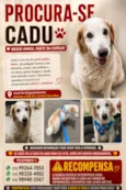 CADU