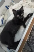 Fofinha