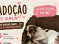 Maio