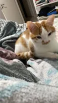 Milo