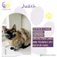 Judith