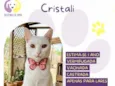 Cristali