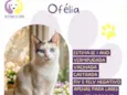 Ofélia