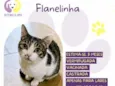 Flanelinha