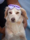 Zoe 