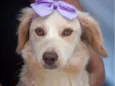 Zoe