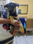 Kiki