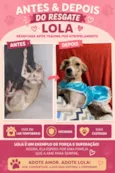 Lola