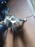Nina