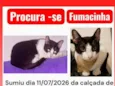 Fumacinha