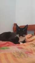 Mel
