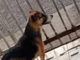 não tem nome