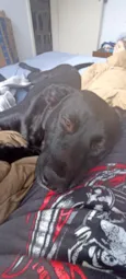 Sirius 