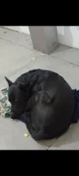 Sirius 