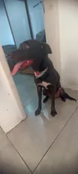 Sirius 