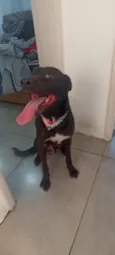 Sirius 