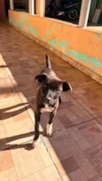 Pérola e Jhulie