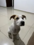 Mel