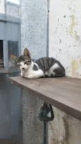 Sem nome, se eu colocar nome ai nao sai de casa