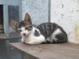 Sem nome, se eu colocar nome ai nao sai de casa