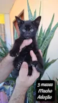 Pelé