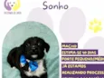 Sonho