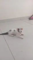 Kristoff