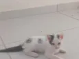 Kristoff