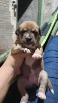 uma é preciosa a branquinha