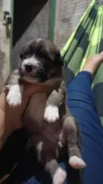 uma é preciosa a branquinha