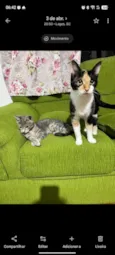 Pérola e Penélope
