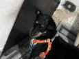 PITOCO