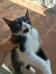 Mia