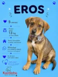 Eros