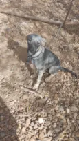 Zoe