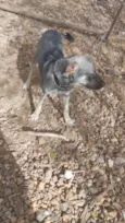 Zoe