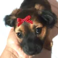 Lili 