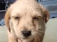 Marley 